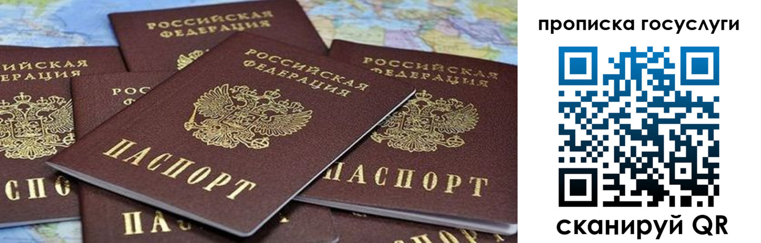 пропишу в квартире в Волосово